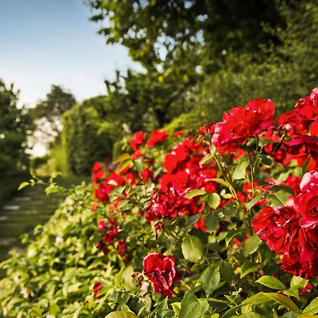 Corte Delle Cicale Bardolino