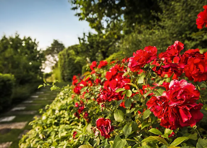 كورتي ديلي سيكالي باردولينو